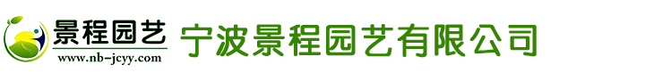 廣州卡哇依機(jī)器人科技有限公司